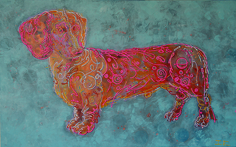 dachshund